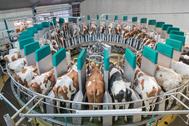 Beschrijving: DairyProQ_tcm55-123366